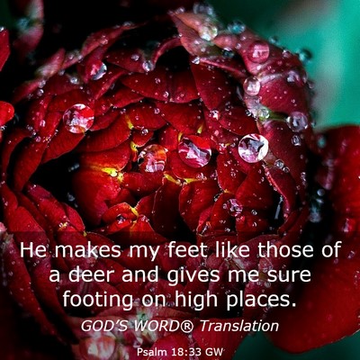 Picture 03 - Psalm 18:33 GW - He makes my feet like those of a deer and gives - Bible Verse Picture