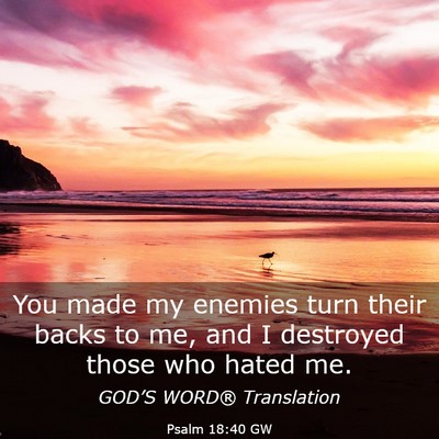 Picture 03 - Psalm 18:40 GW - You made my enemies turn their backs to me, and I - Bible Verse Picture