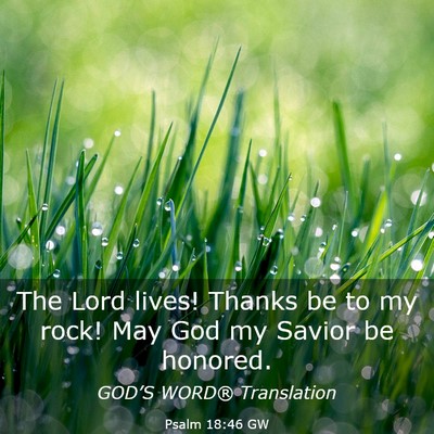 Picture 03 - Psalm 18:46 GW - The Lord lives! Thanks be to my rock! May God my - Bible Verse Picture