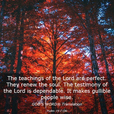Picture 03 - Psalm 19:7 GW - The teachings of the Lord are perfect. They renew - Bible Verse Picture