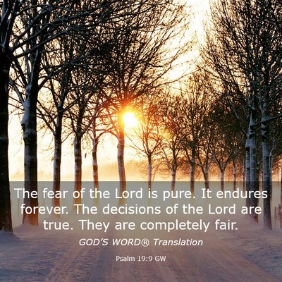 Picture 03 - Psalm 19:9 GW - The fear of the Lord is pure. It endures forever. - Bible Verse Picture