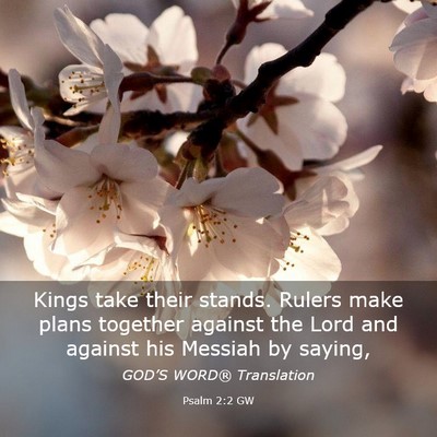 Picture 03 - Psalm 2:2 GW - Kings take their stands. Rulers make plans - Bible Verse Picture