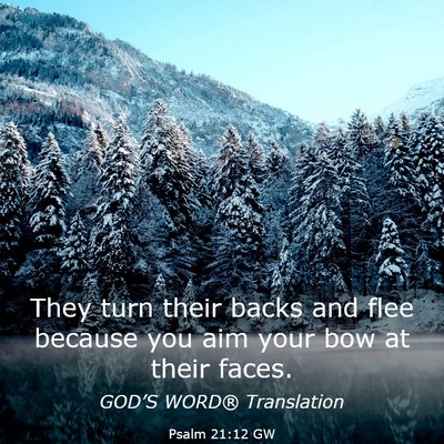 Picture 03 - Psalm 21:12 GW - They turn their backs and flee because you aim - Bible Verse Picture