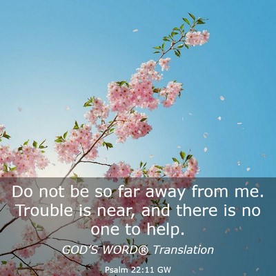 Picture 03 - Psalm 22:11 GW - Do not be so far away from me. Trouble is near, - Bible Verse Picture