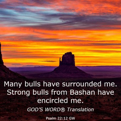 Picture 03 - Psalm 22:12 GW - Many bulls have surrounded me. Strong bulls from - Bible Verse Picture