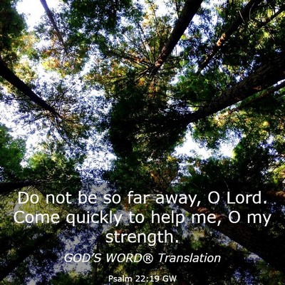 Picture 03 - Psalm 22:19 GW - Do not be so far away, O Lord. Come quickly to - Bible Verse Picture