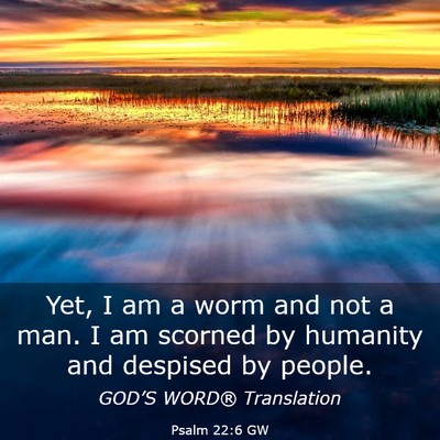 Picture 03 - Psalm 22:6 GW - Yet, I am a worm and not a man. I am scorned by - Bible Verse Picture