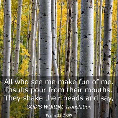 Picture 03 - Psalm 22:7 GW - All who see me make fun of me. Insults pour from - Bible Verse Picture