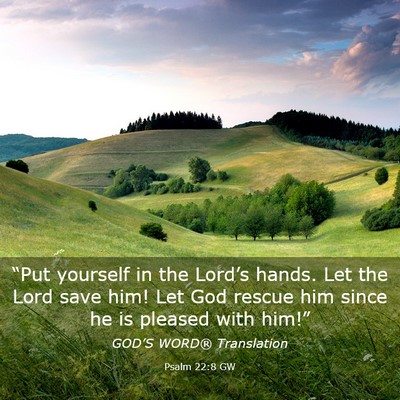 Picture 03 - Psalm 22:8 GW - “Put yourself in the Lord’s hands. Let the - Bible Verse Picture