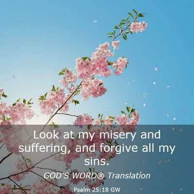 Picture 03 - Psalm 25:18 GW - Look at my misery and suffering, and forgive all - Bible Verse Picture