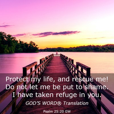 Picture 03 - Psalm 25:20 GW - Protect my life, and rescue me! Do not let me be - Bible Verse Picture