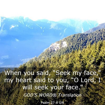 Picture 03 - Psalm 27:8 GW - When you said, “Seek my face,” my heart said - Bible Verse Picture