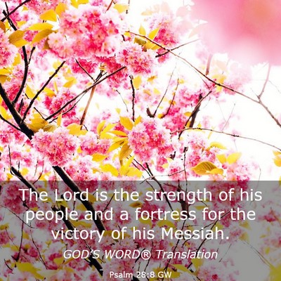 Picture 03 - Psalm 28:8 GW - The Lord is the strength of his people and a - Bible Verse Picture