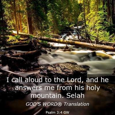 Picture 03 - Psalm 3:4 GW - I call aloud to the Lord, and he answers me from - Bible Verse Picture