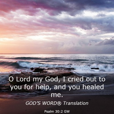 Picture 03 - Psalm 30:2 GW - O Lord my God, I cried out to you for help, and - Bible Verse Picture