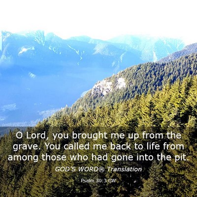Picture 03 - Psalm 30:3 GW - O Lord, you brought me up from the grave. You - Bible Verse Picture