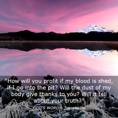 Picture 03 - Psalm 30:9 GW - “How will you profit if my blood is shed, if I - Bible Verse Picture