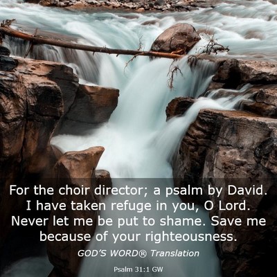 Picture 03 - Psalm 31:1 GW - For the choir director; a psalm by David. I have - Bible Verse Picture