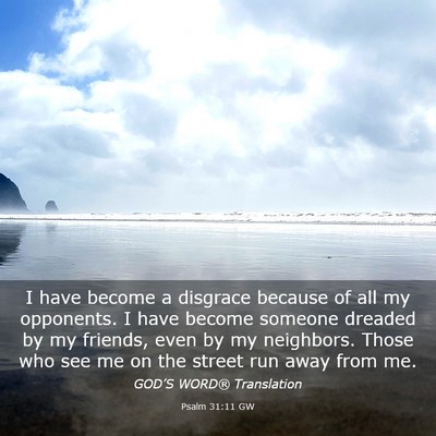 Picture 03 - Psalm 31:11 GW - I have become a disgrace because of all my - Bible Verse Picture