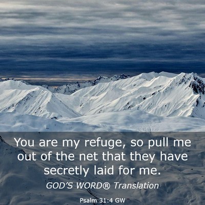 Picture 03 - Psalm 31:4 GW - You are my refuge, so pull me out of the net that - Bible Verse Picture