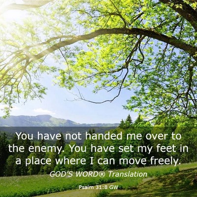 Picture 03 - Psalm 31:8 GW - You have not handed me over to the enemy. You - Bible Verse Picture