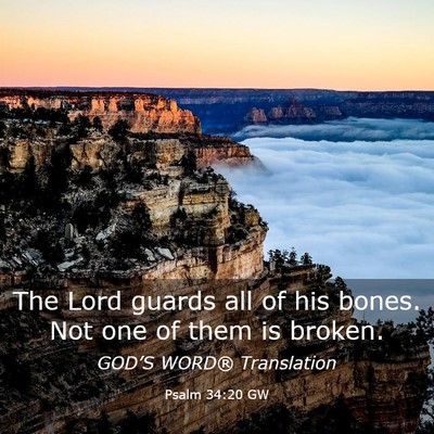 Picture 03 - Psalm 34:20 GW - The Lord guards all of his bones. Not one of them - Bible Verse Picture