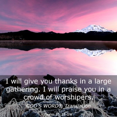 Picture 03 - Psalm 35:18 GW - I will give you thanks in a large gathering. I - Bible Verse Picture