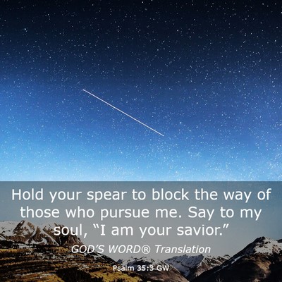 Picture 03 - Psalm 35:3 GW - Hold your spear to block the way of those who - Bible Verse Picture