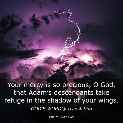 Picture 03 - Psalm 36:7 GW - Your mercy is so precious, O God, that Adam’s - Bible Verse Picture
