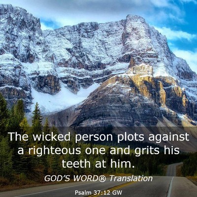 Picture 03 - Psalm 37:12 GW - The wicked person plots against a righteous one - Bible Verse Picture