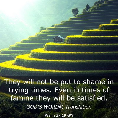 Picture 03 - Psalm 37:19 GW - They will not be put to shame in trying times. - Bible Verse Picture