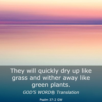 Picture 03 - Psalm 37:2 GW - They will quickly dry up like grass and wither - Bible Verse Picture