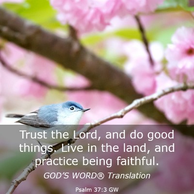 Picture 03 - Psalm 37:3 GW - Trust the Lord, and do good things. Live in the - Bible Verse Picture