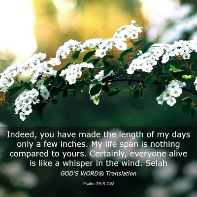 Picture 03 - Psalm 39:5 GW - Indeed, you have made the length of my days only - Bible Verse Picture