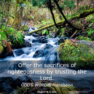 Picture 03 - Psalm 4:5 GW - Offer the sacrifices of righteousness by trusting - Bible Verse Picture