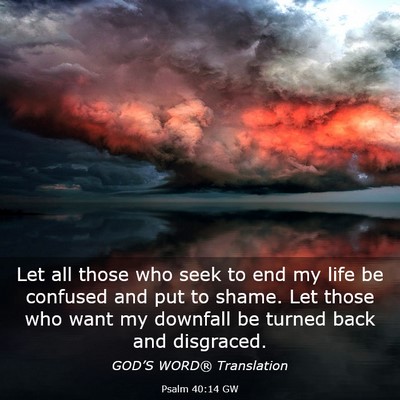 Picture 03 - Psalm 40:14 GW - Let all those who seek to end my life be confused - Bible Verse Picture