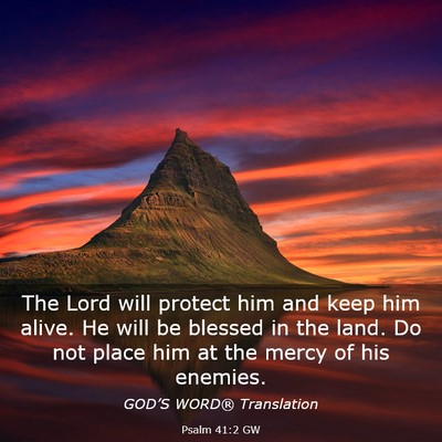 Picture 03 - Psalm 41:2 GW - The Lord will protect him and keep him alive. He - Bible Verse Picture