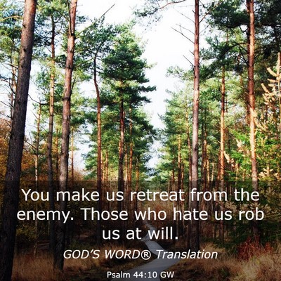 Picture 03 - Psalm 44:10 GW - You make us retreat from the enemy. Those who - Bible Verse Picture