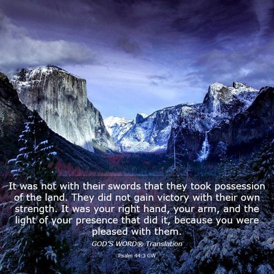 Picture 03 - Psalm 44:3 GW - It was not with their swords that they took - Bible Verse Picture
