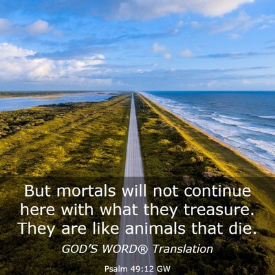 Picture 03 - Psalm 49:12 GW - But mortals will not continue here with what they - Bible Verse Picture
