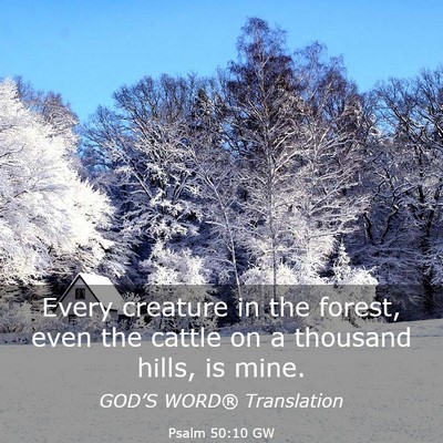 Picture 03 - Psalm 50:10 GW - Every creature in the forest, even the cattle on - Bible Verse Picture