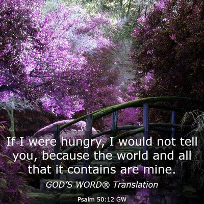 Picture 03 - Psalm 50:12 GW - If I were hungry, I would not tell you, because - Bible Verse Picture