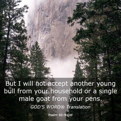 Picture 03 - Psalm 50:9 GW - But I will not accept another young bull from - Bible Verse Picture