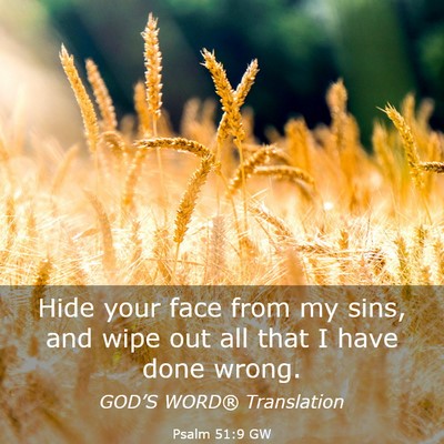 Picture 03 - Psalm 51:9 GW - Hide your face from my sins, and wipe out all - Bible Verse Picture