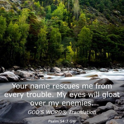 Picture 03 - Psalm 54:7 GW - Your name rescues me from every trouble. My eyes - Bible Verse Picture
