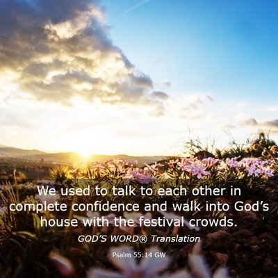 Picture 03 - Psalm 55:14 GW - We used to talk to each other in complete - Bible Verse Picture