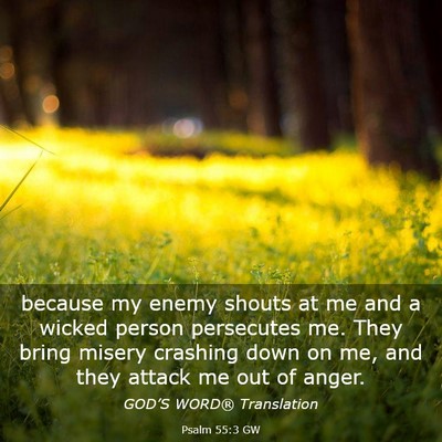Picture 03 - Psalm 55:3 GW - because my enemy shouts at me and a wicked person - Bible Verse Picture