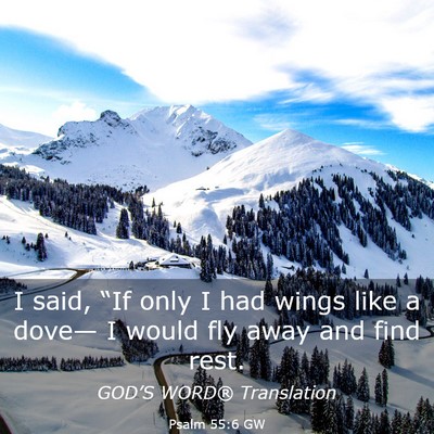 Picture 03 - Psalm 55:6 GW - I said, “If only I had wings like a dove— I - Bible Verse Picture