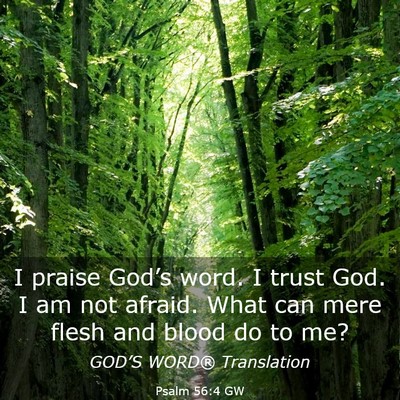 Picture 03 - Psalm 56:4 GW - I praise God’s word. I trust God. I am not - Bible Verse Picture