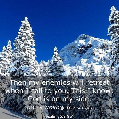 Picture 03 - Psalm 56:9 GW - Then my enemies will retreat when I call to you. - Bible Verse Picture